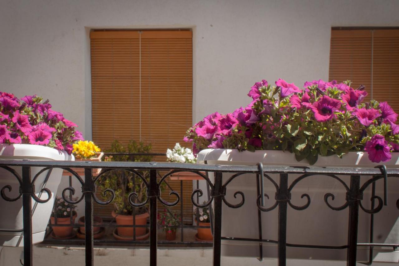 Casa Amparo - Alquiler Integro Con Encanto En Alicante Alcoleja Exterior photo